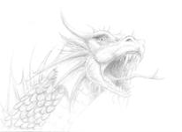 Tete de dragon